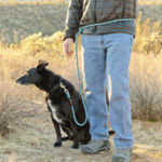 TGS Leashes (Set of 2)